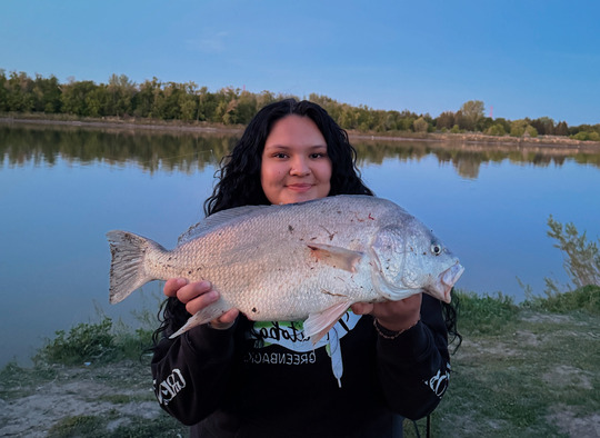 Freshwater Drum