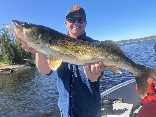 Walleye