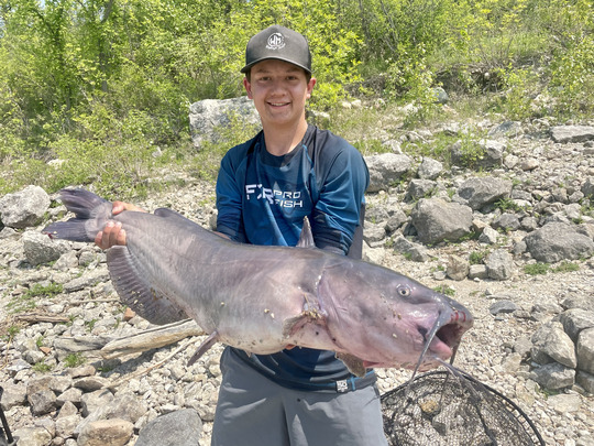 Channel Catfish
