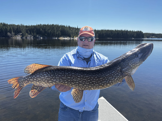 Northern Pike