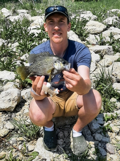 Rock Bass