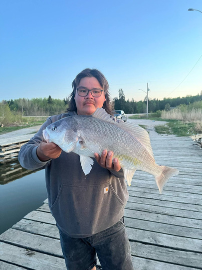 Freshwater Drum