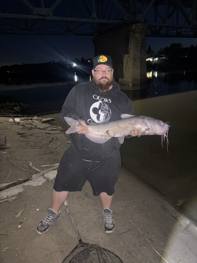 Channel Catfish