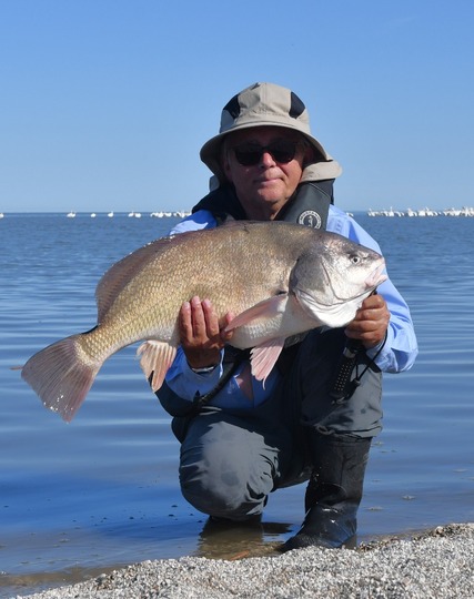 Freshwater Drum
