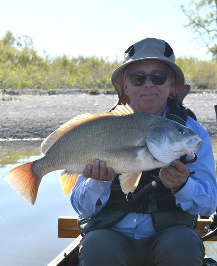 Freshwater Drum