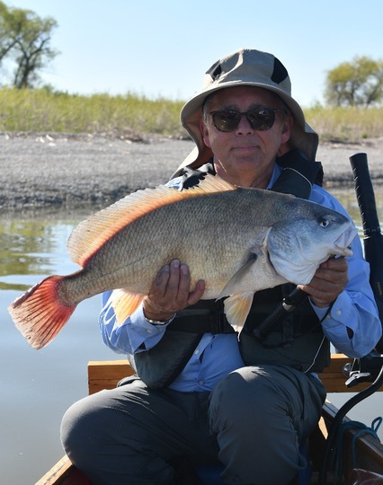Freshwater Drum