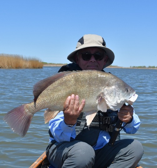 Freshwater Drum