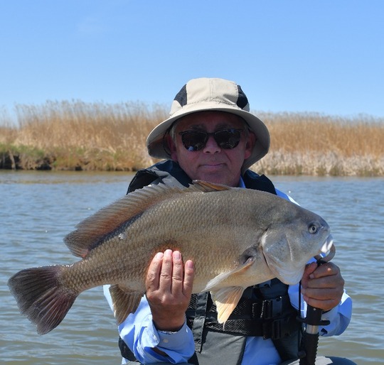 Freshwater Drum