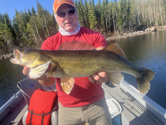 Walleye