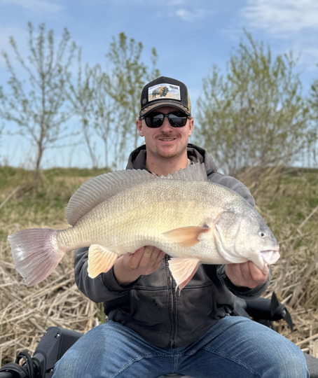 Freshwater Drum
