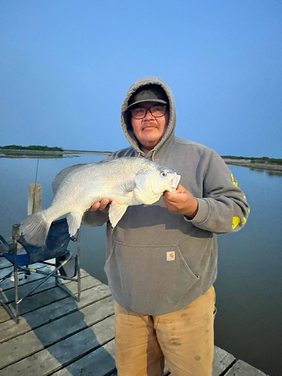Freshwater Drum