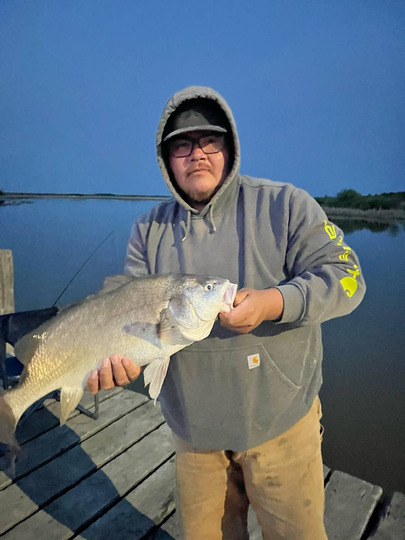 Freshwater Drum