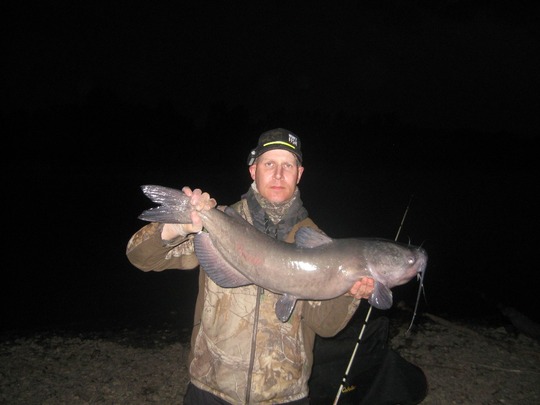 Channel Catfish