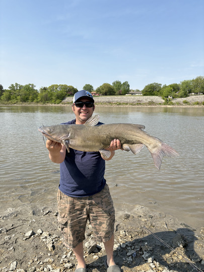 Channel Catfish