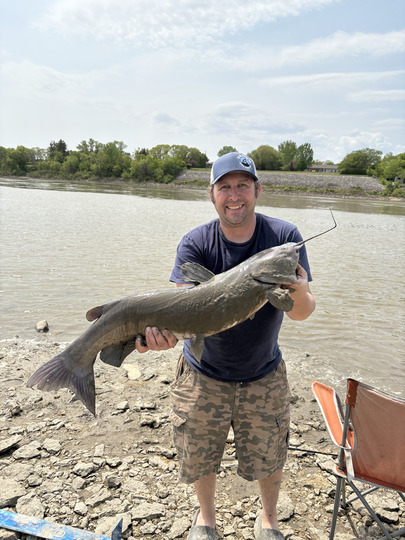 Channel Catfish