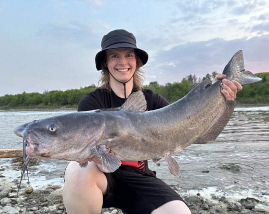 Channel Catfish