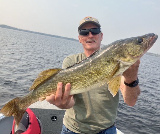 Walleye