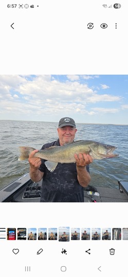 Walleye