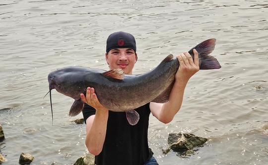 Channel Catfish