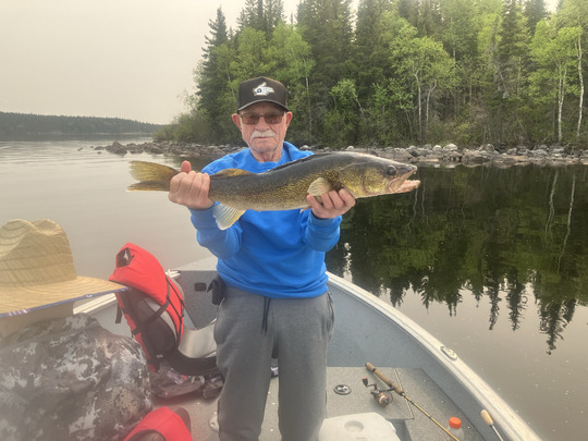 Walleye
