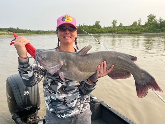 Channel Catfish
