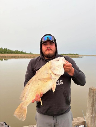 Freshwater Drum