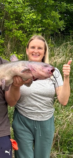 Channel Catfish