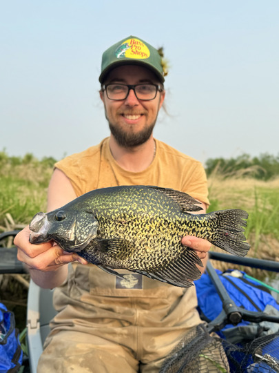Black Crappie