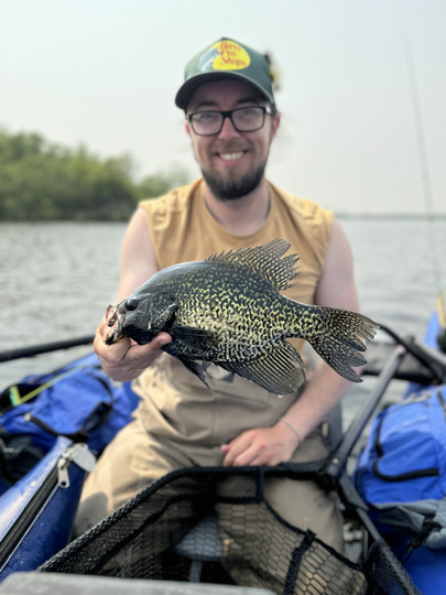 Black Crappie