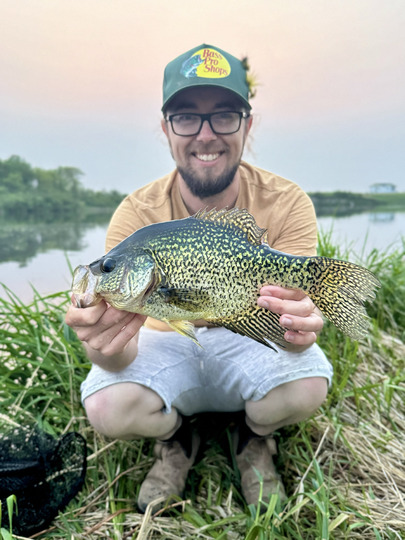 Black Crappie