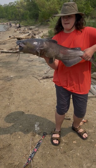 Channel Catfish