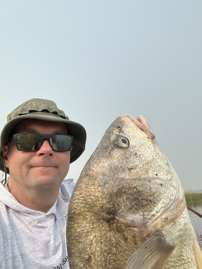 Freshwater Drum