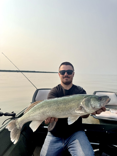 Walleye