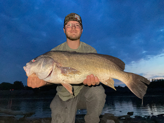 Freshwater Drum