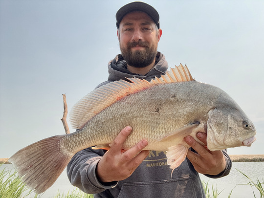 Freshwater Drum