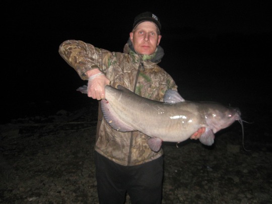 Channel Catfish