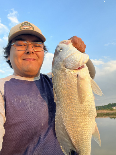 Freshwater Drum