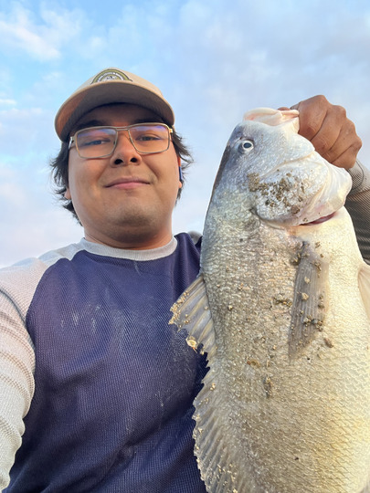 Freshwater Drum