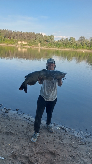 Channel Catfish