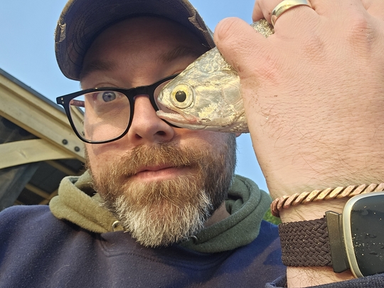 Goldeye