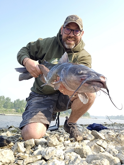 Channel Catfish
