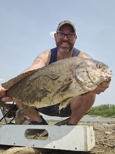 Freshwater Drum