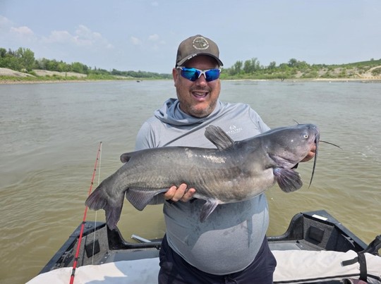 Channel Catfish
