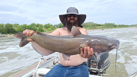 Channel Catfish