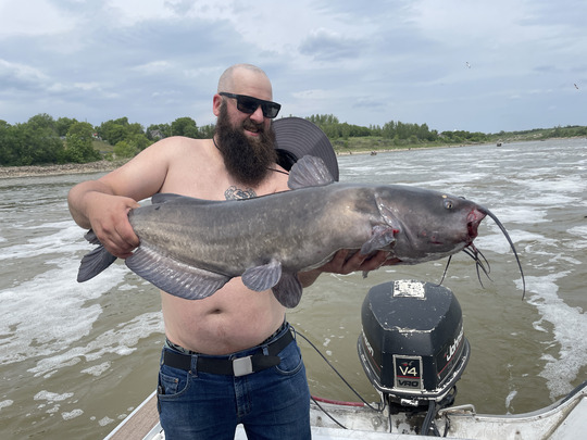 Channel Catfish