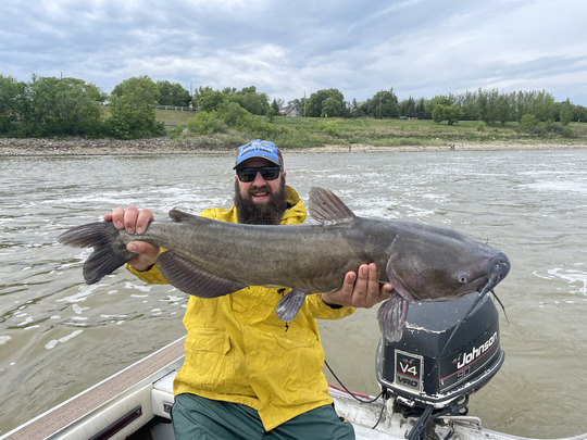 Channel Catfish