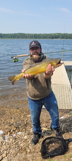 Tiger Trout