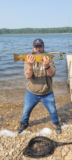 Tiger Trout