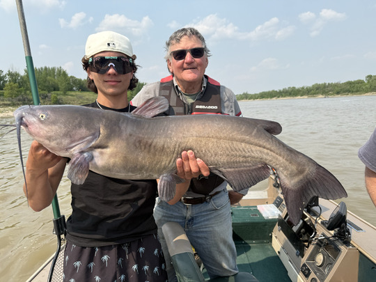 Channel Catfish