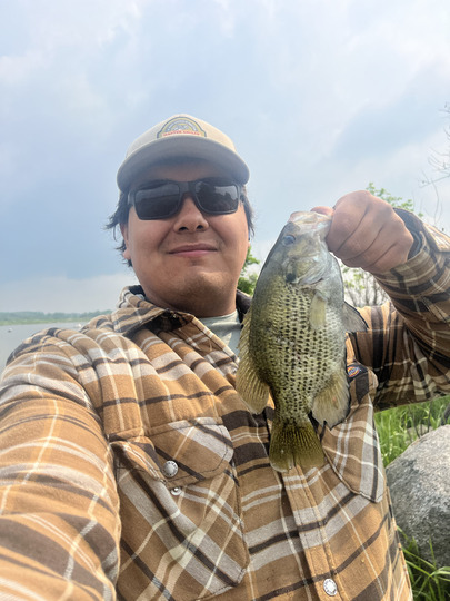 Rock Bass